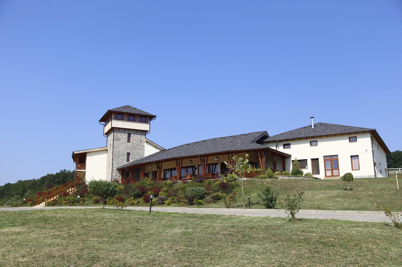 Pensiunea Casa Buna Girbova Екстер'єр фото